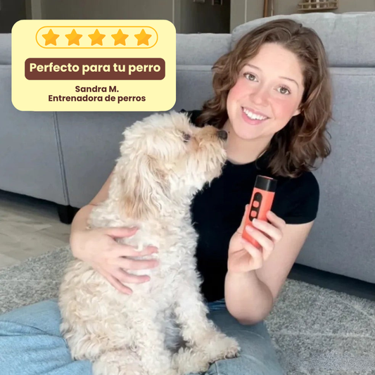 Antiladridos Ultrasoníco | Perro más tranquilo